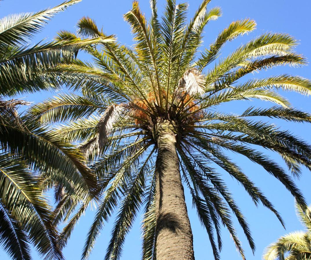 Appartamento Casa Esmeralda - Costa Blanca